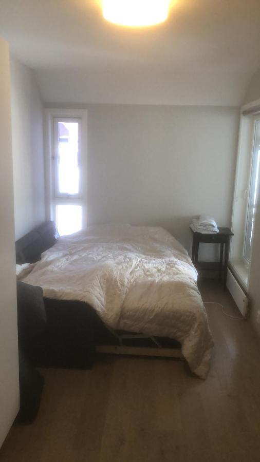 דירות Penthouse Sentralt I אוסלו מראה חיצוני תמונה